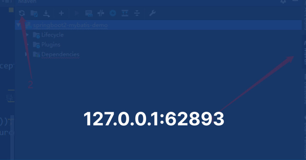 127.0.0.1:62893