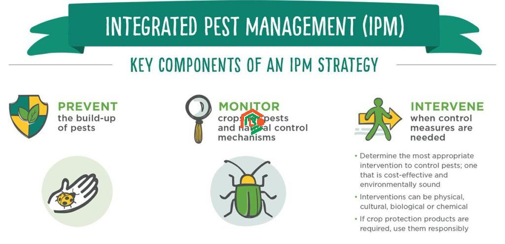 What Are the Four Methods of Managing Pest? Easy Guide for Beginners what are the four methods of managing pest