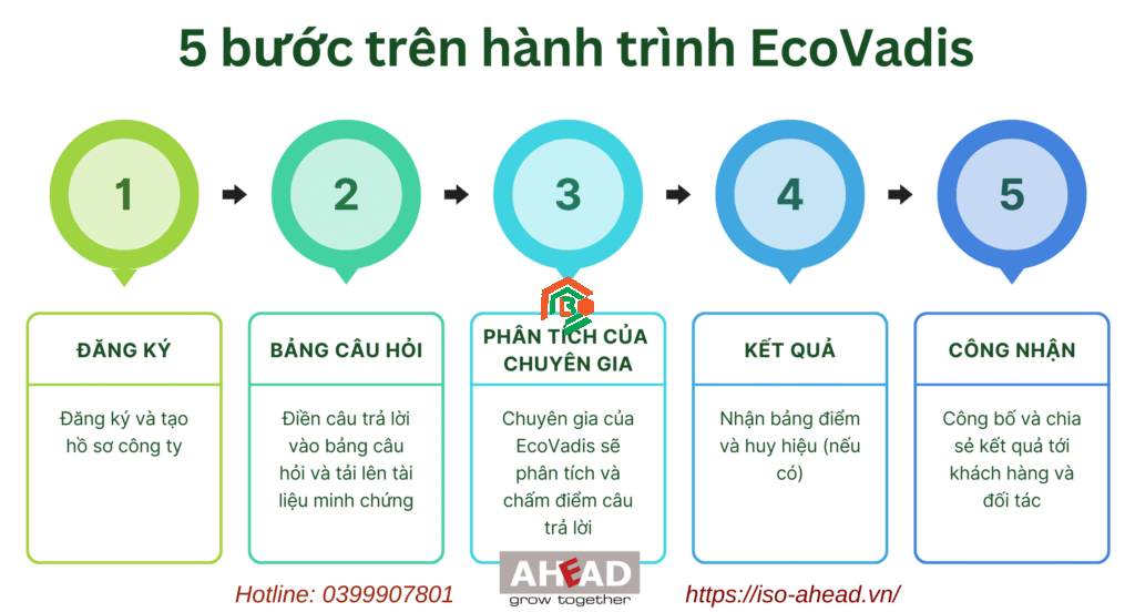 Chứng Nhận EcoVadis Có Ý Nghĩa Gì? Tại Sao Doanh Nghiệp Cần Quan Tâm chứng nhận ecovadis có ý nghĩa gì
