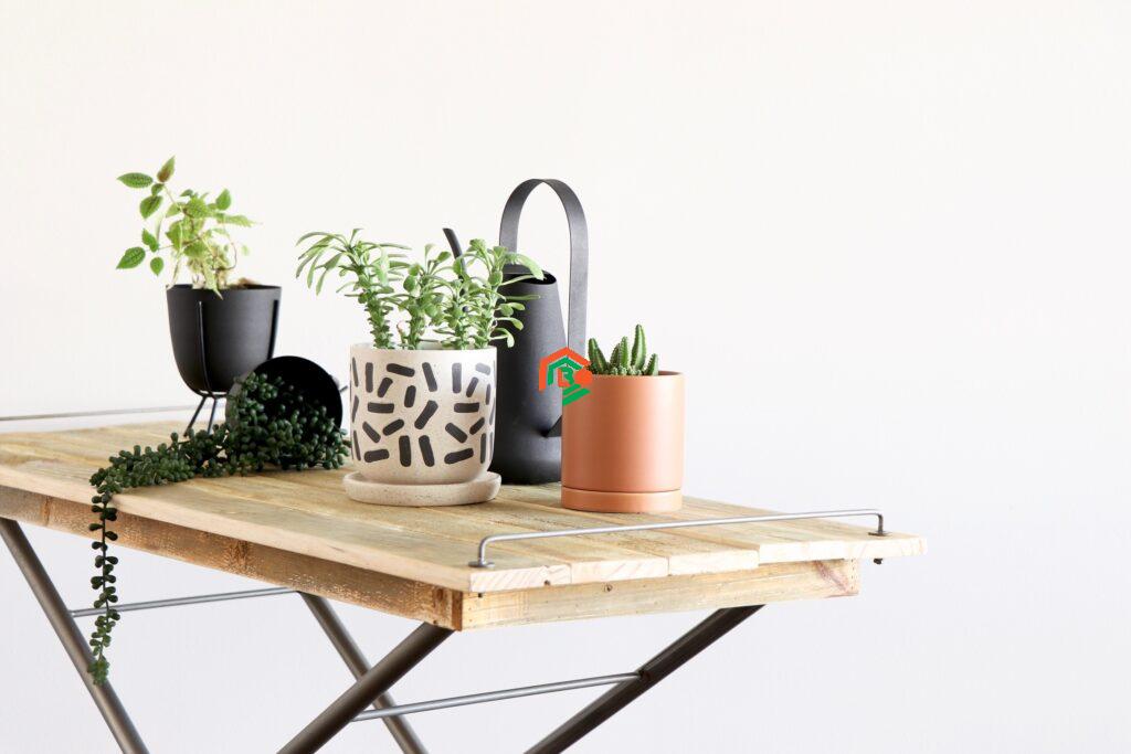 What Is a Holistic Habitat? A Simple Guide for Everyone holistic habitat