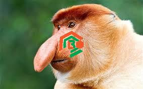 Why Do Some People Say “Ugly Dominican”? Let’s Understand the Truth ugly dominican