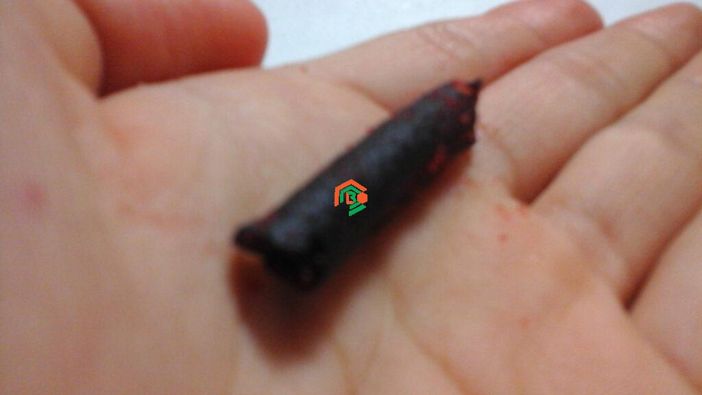 black takis
