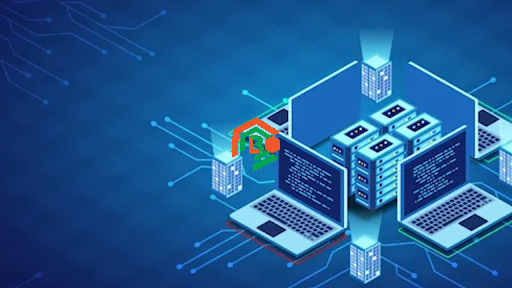 What’s in Wurduxalgoilds? A Simple Guide for Everyone what's in wurduxalgoilds