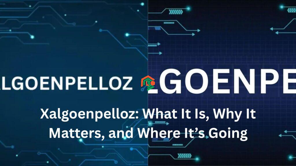 Xalgoenpelloz: What It Is, Why It Matters, and Where It’s Going xalgoenpelloz